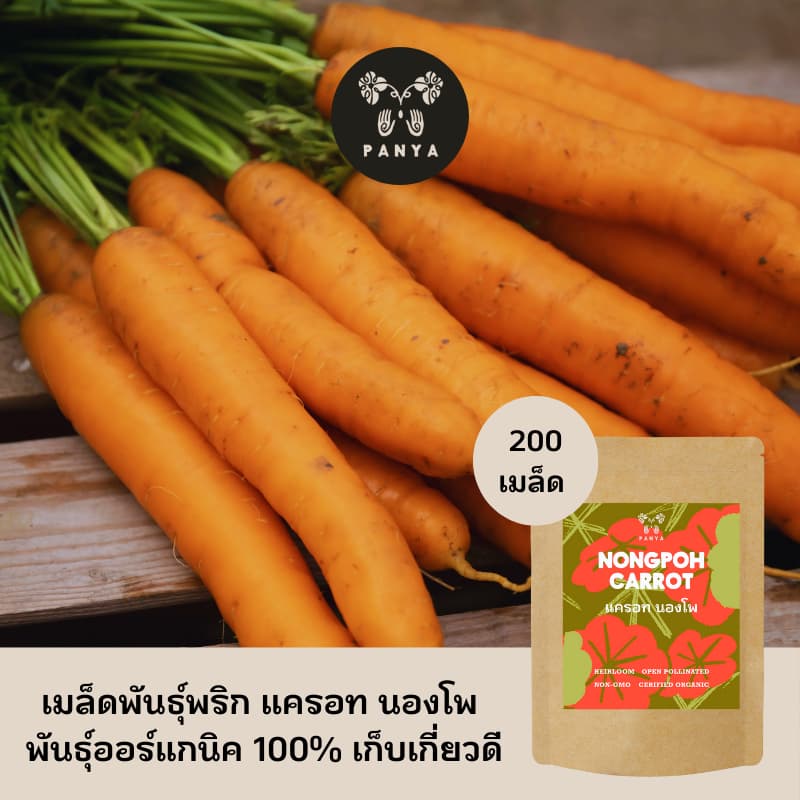 Organic Nongpoh Carrot Seeds