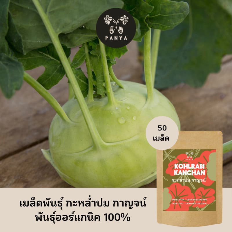Organic Kohlrabi Seed