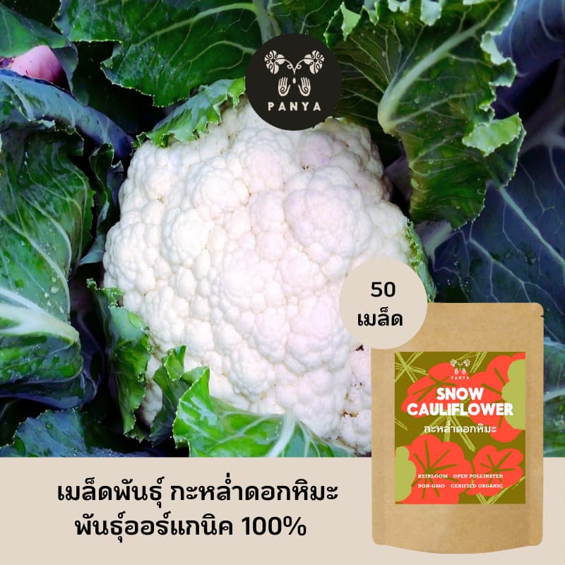 Organic Snow Cauliflower Seeds