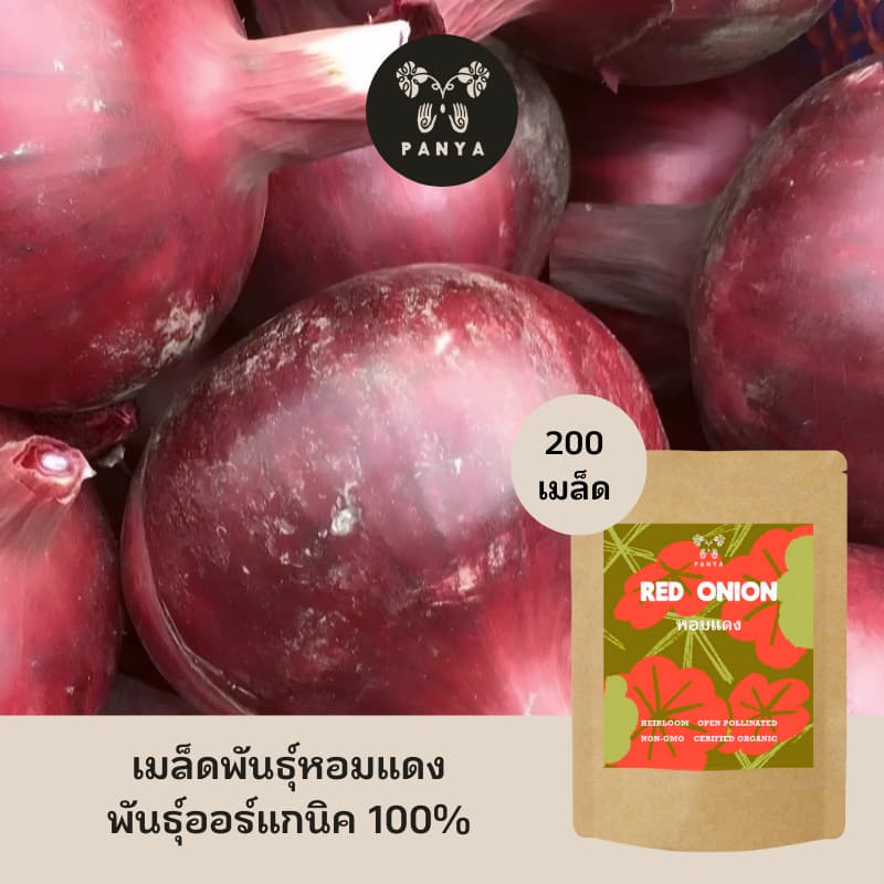 Organic Red Onion Seeds