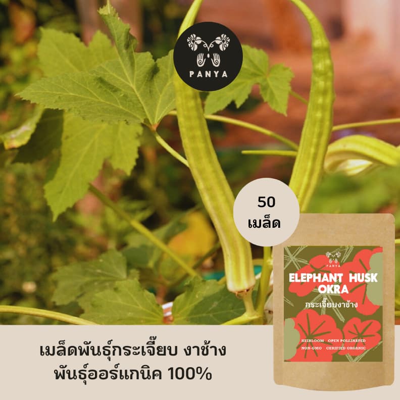 Organic Elephant Tusk Okra Seeds