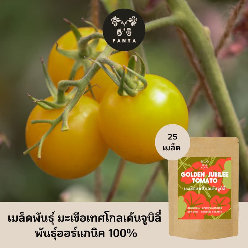 Organic Golden Jubilee Tomato Seeds