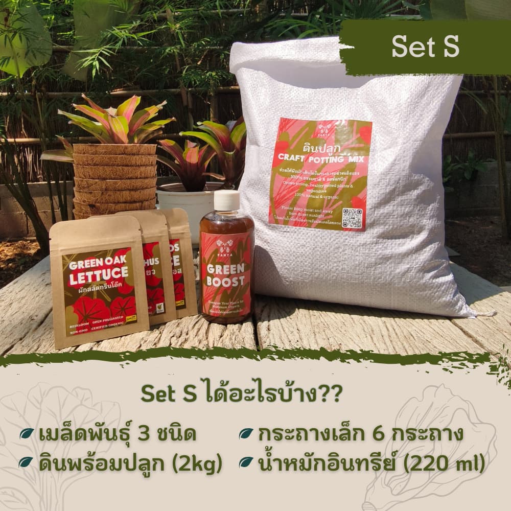 Beginner's Greens Gardening Kit (Combo 2)