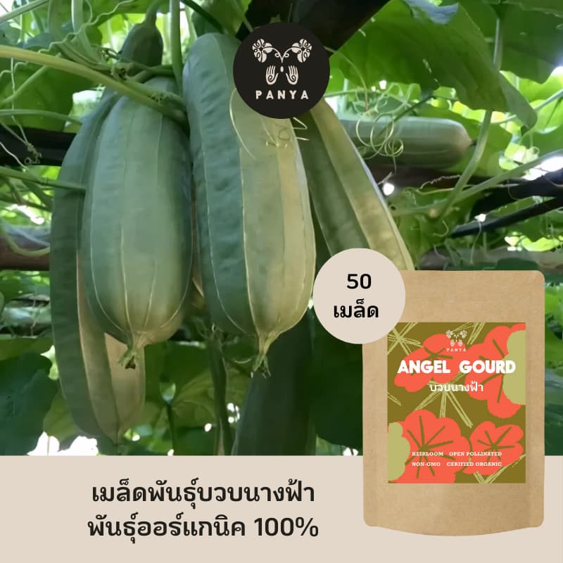 Organic Angel Gourd Seeds