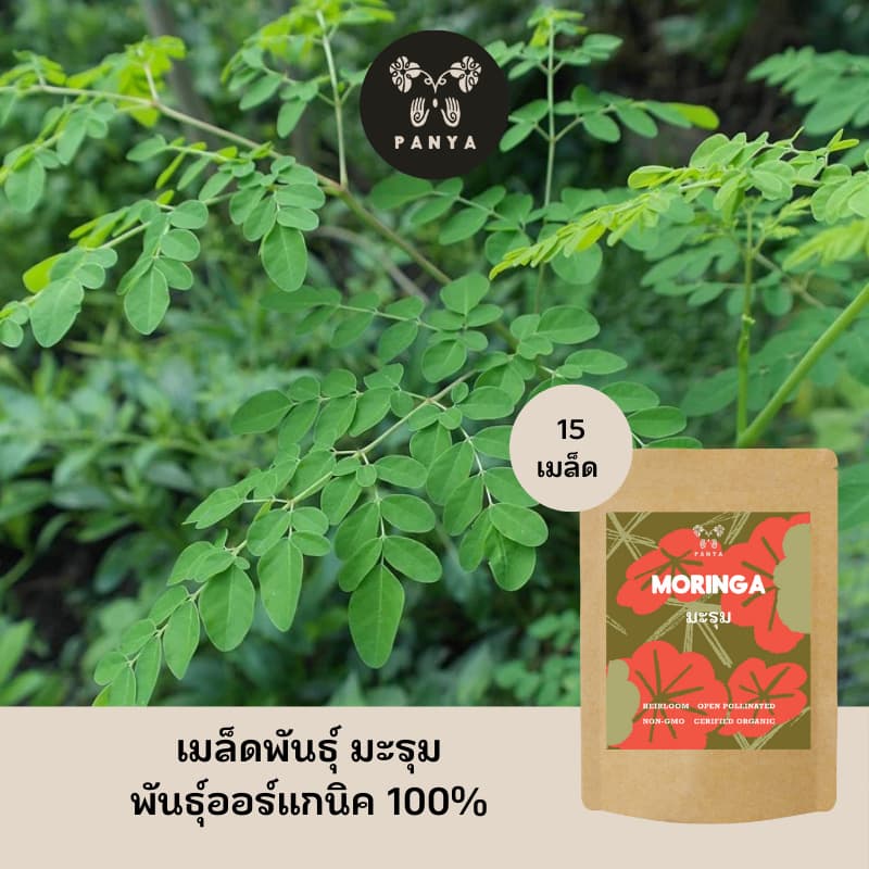 Organic Moringa Seeds