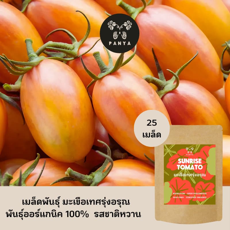 Organic Sunrise Tomato Seeds