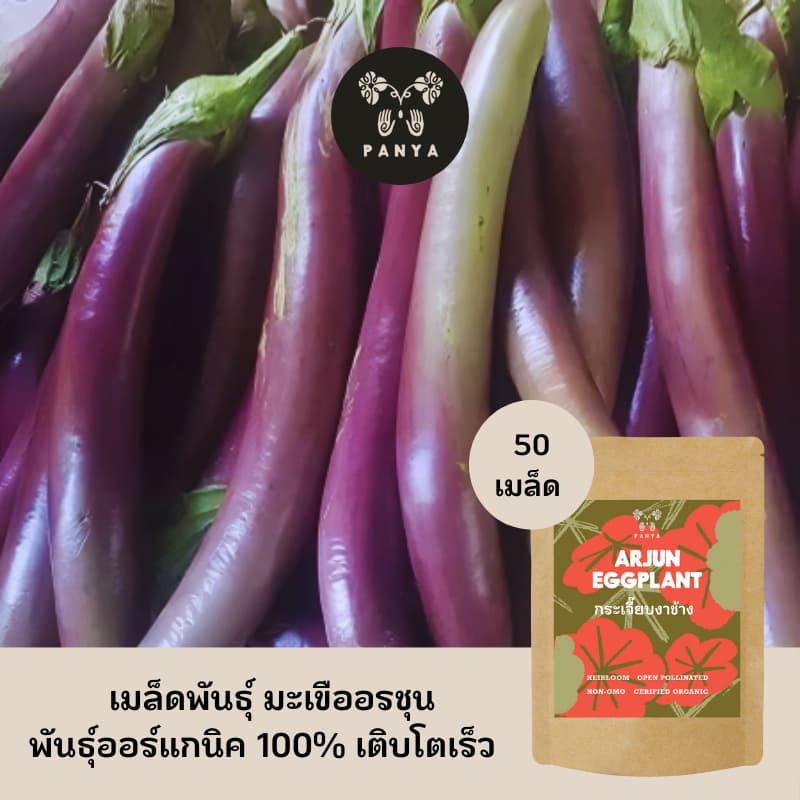 Organic Arjun Eggplant Seeds