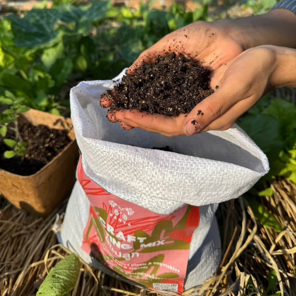 Organic Potting Mix (20kg)