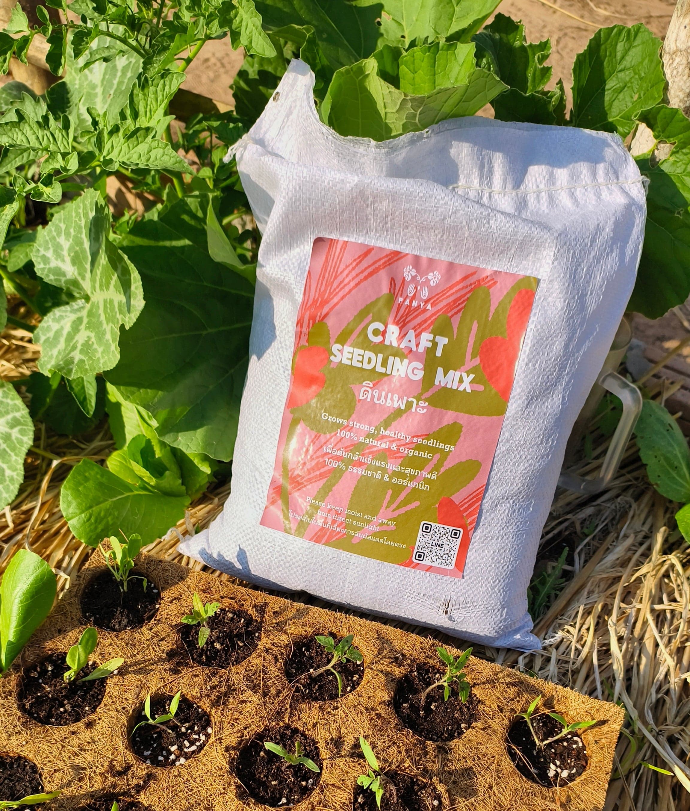 Organic Seedlings Mix (40L)