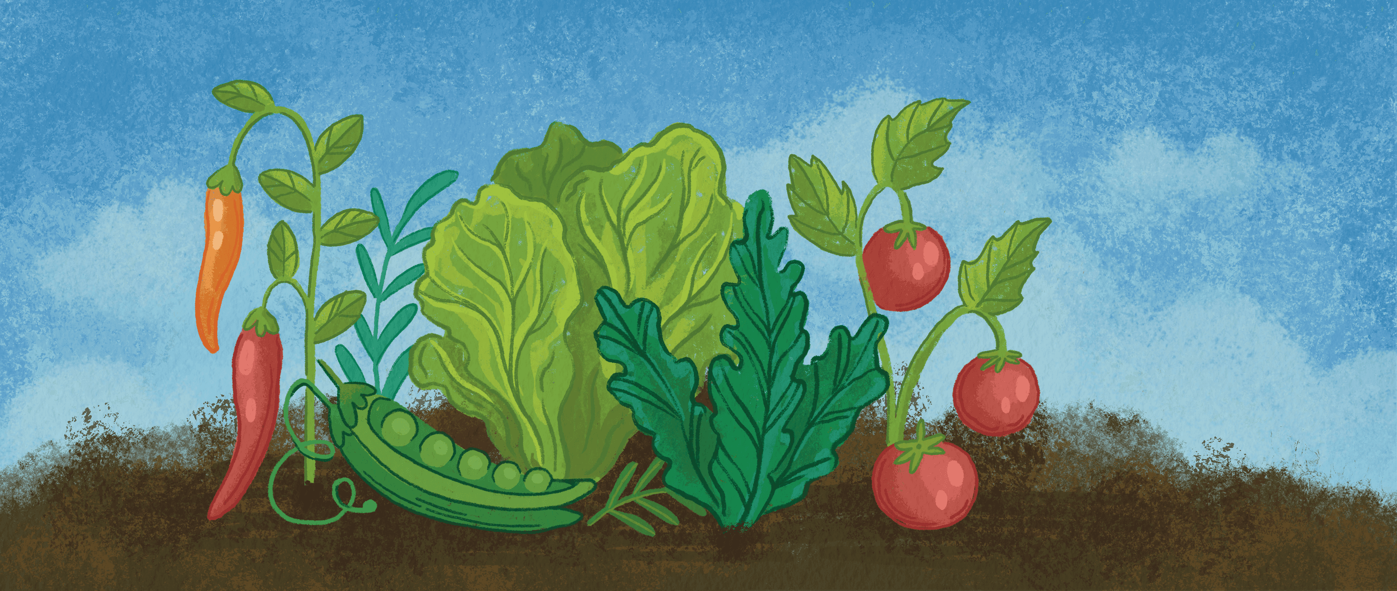 Seed saving 101: capture a favourite variety forever