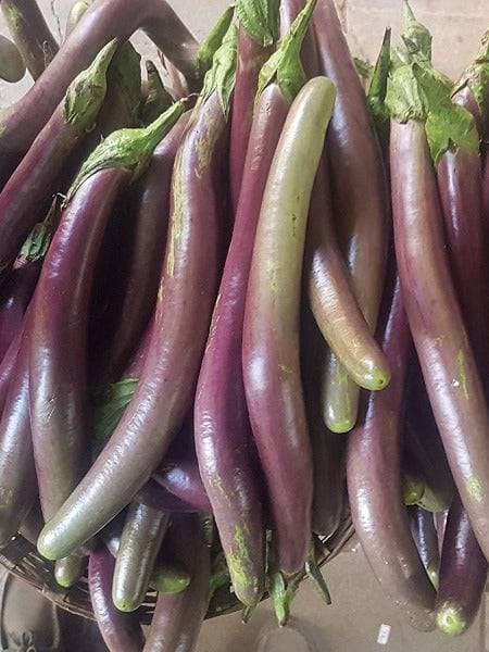Arjun Eggplant