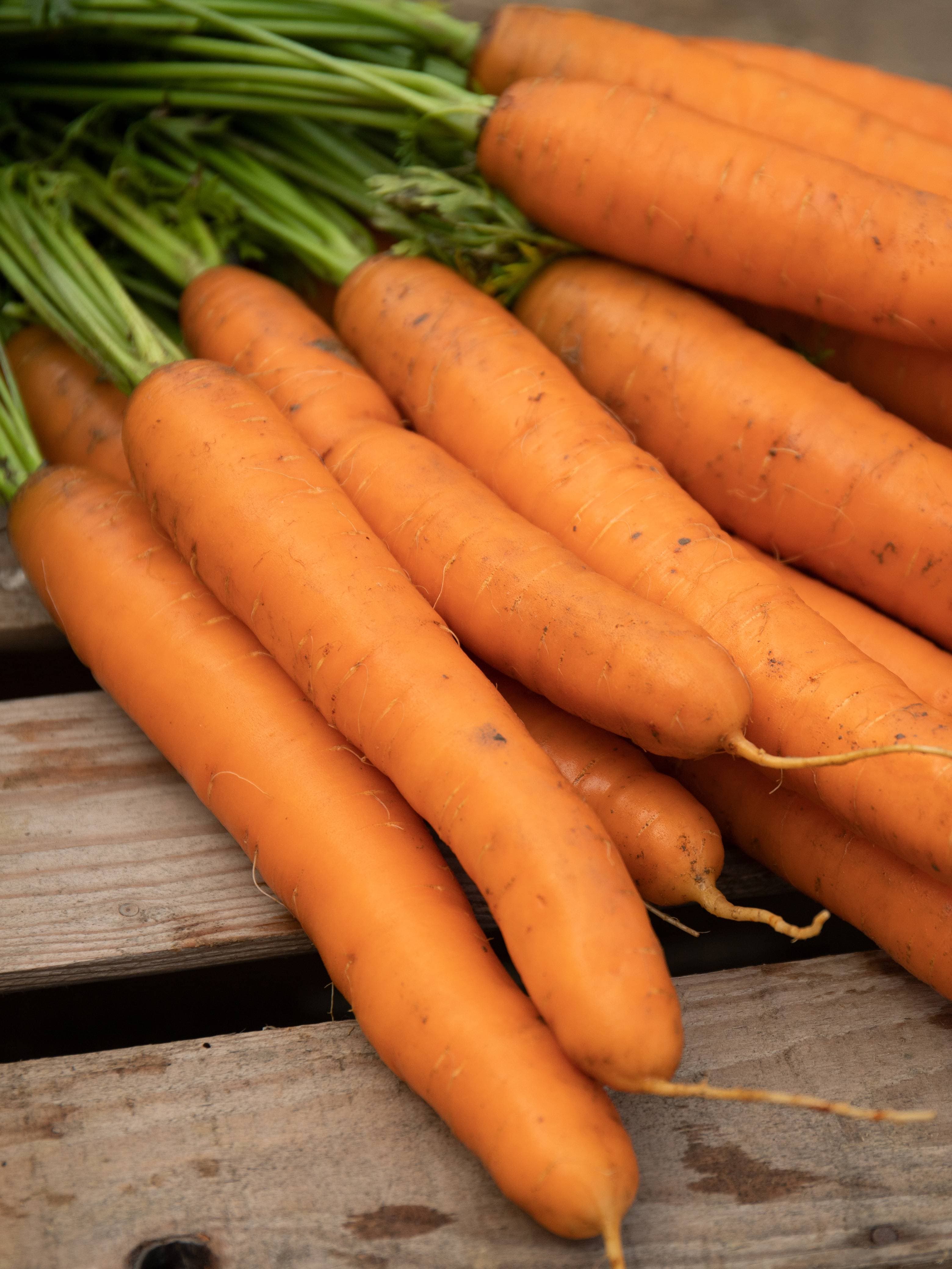 Nongpoh Carrot