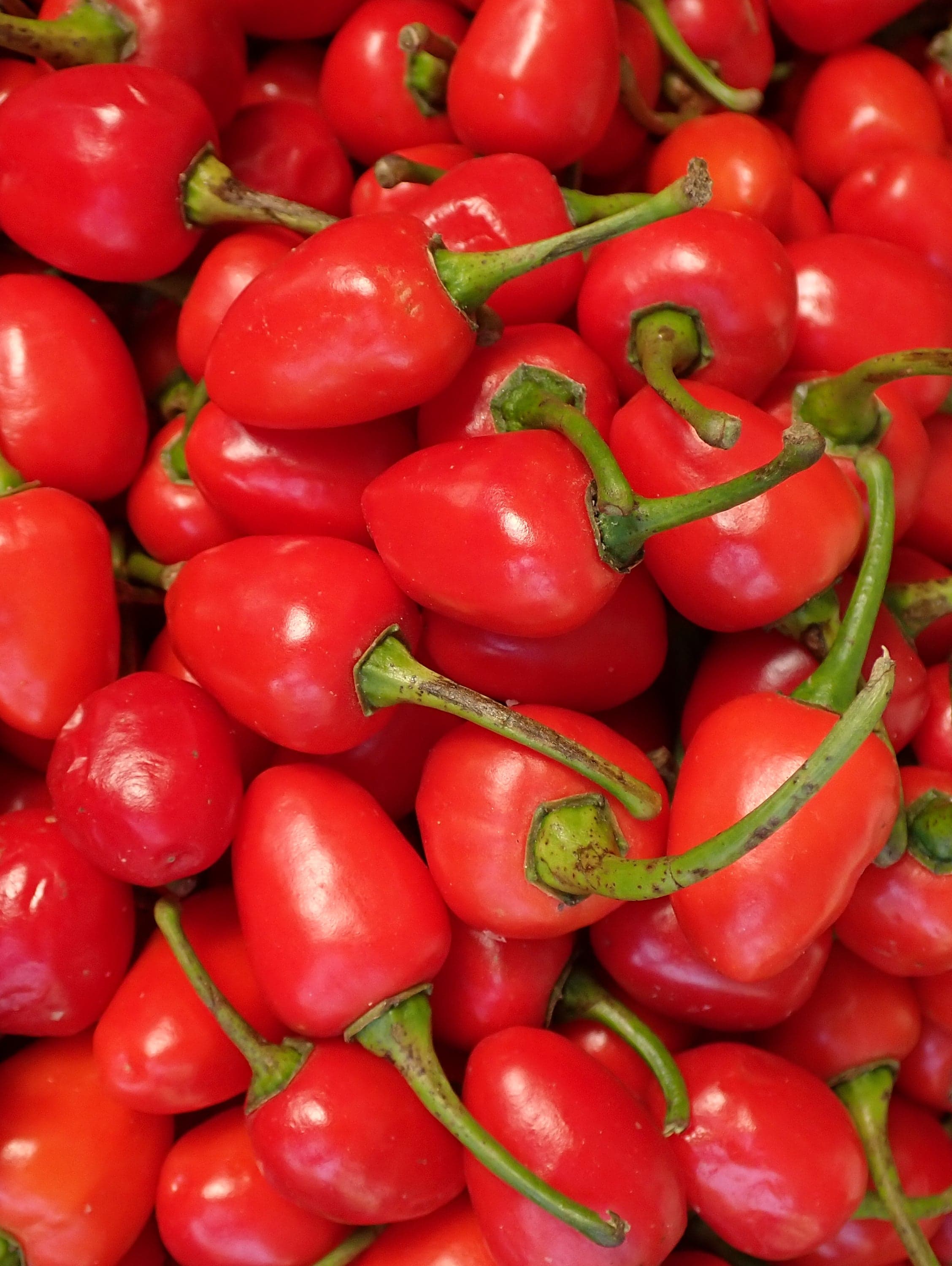 Dalhe Chili