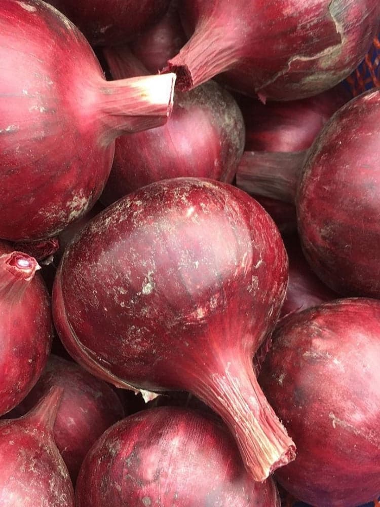 Onion