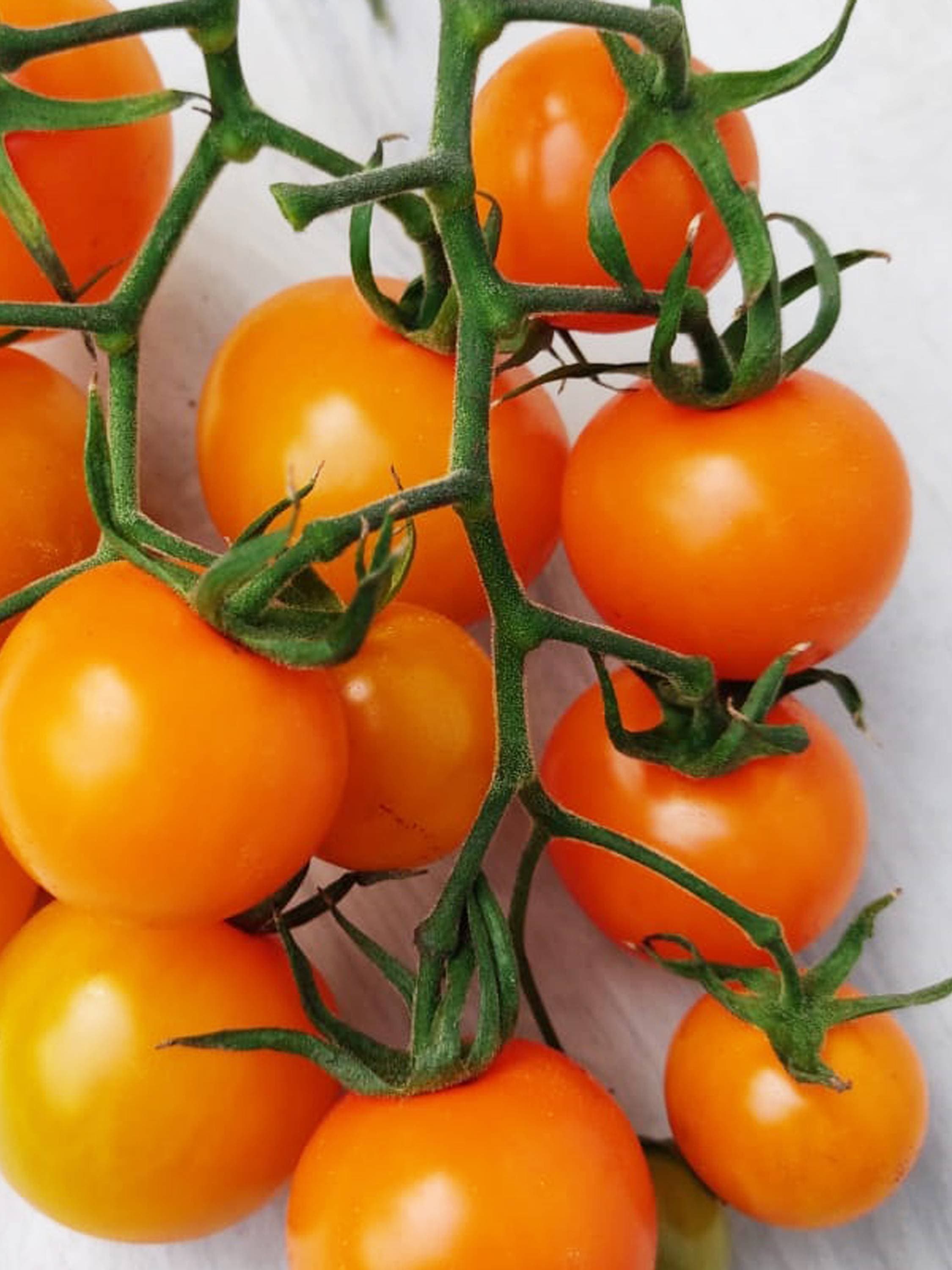 Bright Orange Tomato