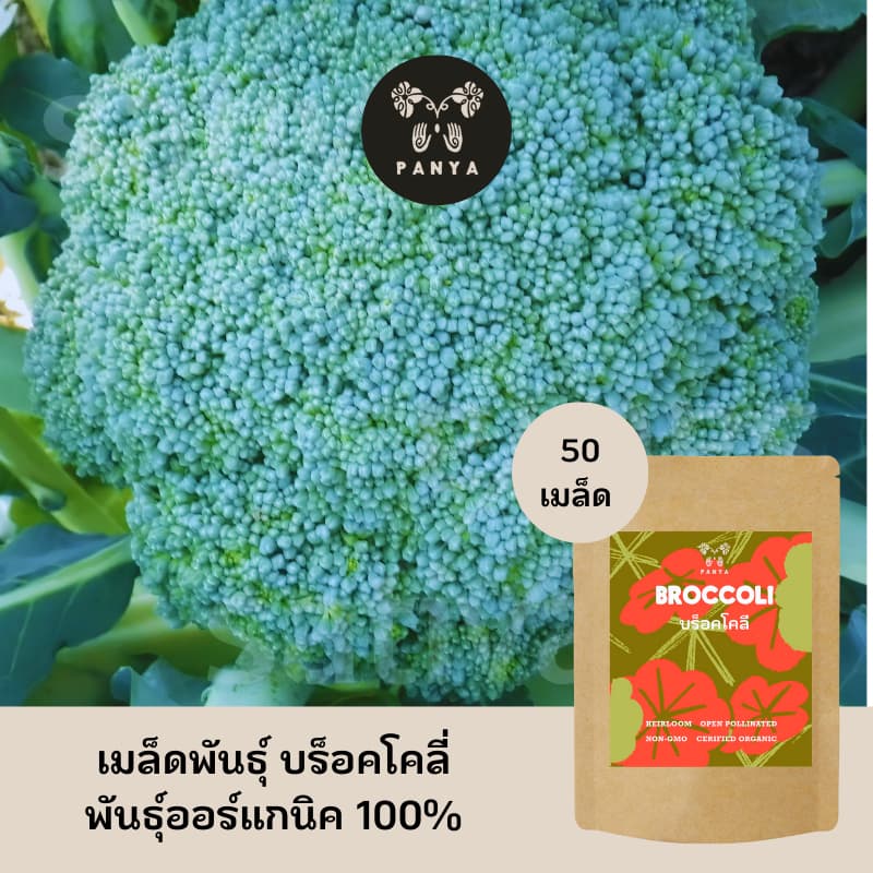 Organic Broccoli Seeds
