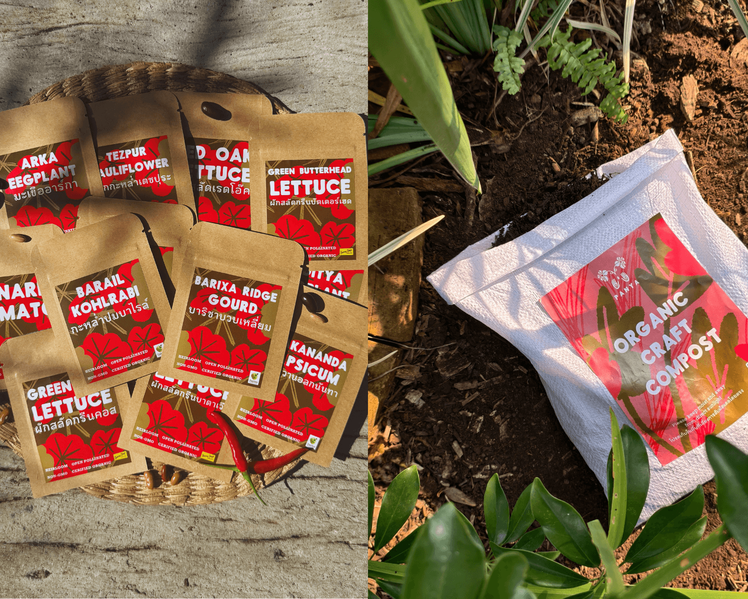 Grow a Garden That Honors the Earth